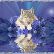 Nancy Yates Photo 44