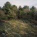 Craig Reynolds Photo 38