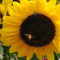 Kathleen Winters Photo 24