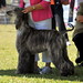 Cynthia Mauldin Photo 18