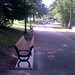Matthew Pollack Photo 22
