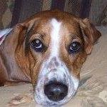 Nancy Keppel Photo 3