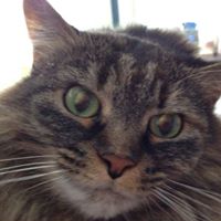 David Geary Photo 43