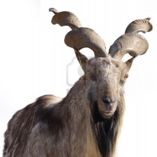 Ronald Cabrera Photo 28