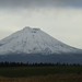 Ken Roberson Photo 8