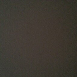 Julia Busch Photo 17