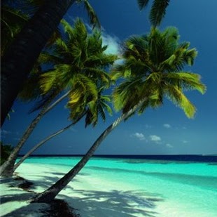 Chris Riggs Photo 41 Chris Riggs Photo 41