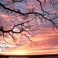 Cynthia Ambrose Photo 14