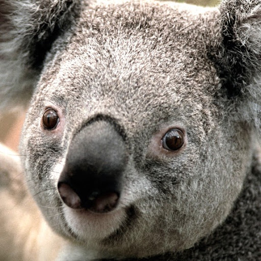 David Kiley Photo 11