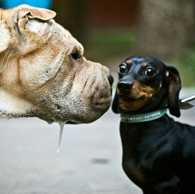 Richard Longtin Photo 5