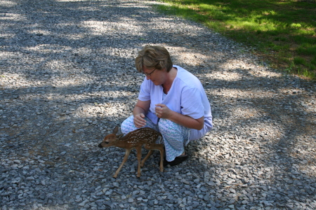 Sandra Irwin Photo 24