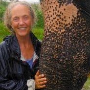 Mary Langdon Photo 27