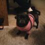 Cathy Gordon Photo 6