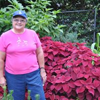 Susan Mcclain Photo 21