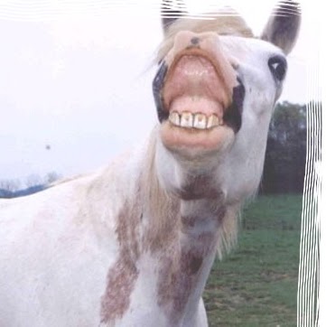 Shirley Rogers Photo 12