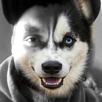 Vaughn Taylor Photo 31