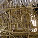 Mary Jansen Photo 8