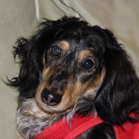 Kathleen Kelleher Photo 23