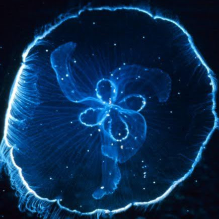 Cathy Moore Photo 18 Cathy Moore Photo 18