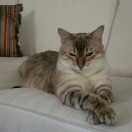 Peggy Richardson Photo 38