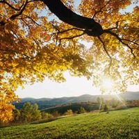 Heather Simms Photo 33