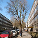 Lawrence Bird Photo 18