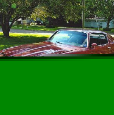 Shane Swanson Photo 18