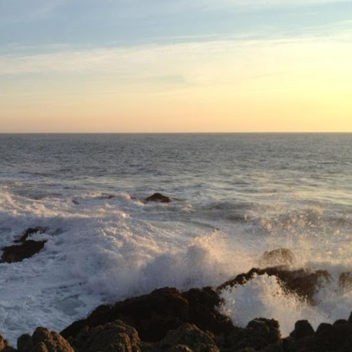 Stephanie Benedict Photo 23