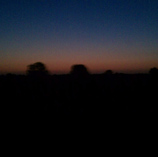 Austin Hamilton Photo 38