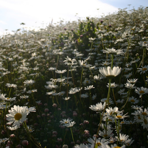 Tammy Glover Photo 37