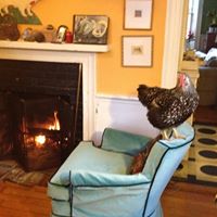 Leslie Tuttle Photo 14