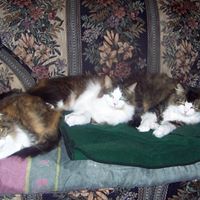 Jeannie Giering Photo 3