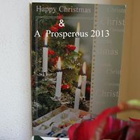 Mary Council Photo 16