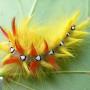 Sue Fry Photo 9