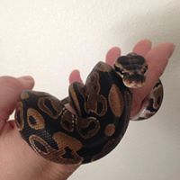 Christie Gordon Photo 38