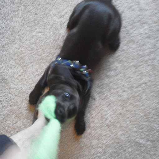 John Benoit Photo 43 John Benoit Photo 43