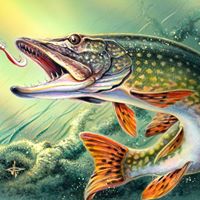 Joseph Steward Photo 13