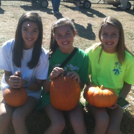 Sarah Napoli Photo 17