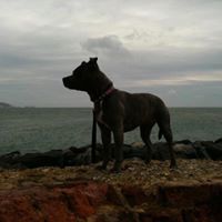 Vicki Streeter Photo 4