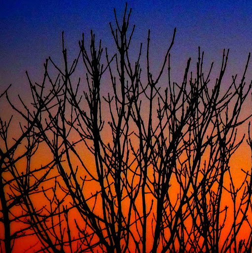 Matthew Downey Photo 32 Matthew Downey Photo 32