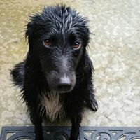 Kendall Weber Photo 16