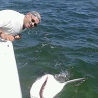 Larry Trapp Photo 16 Larry Trapp Photo 16