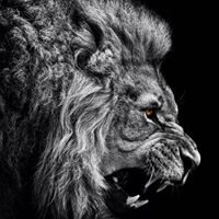 Clarence Dawson Photo 8