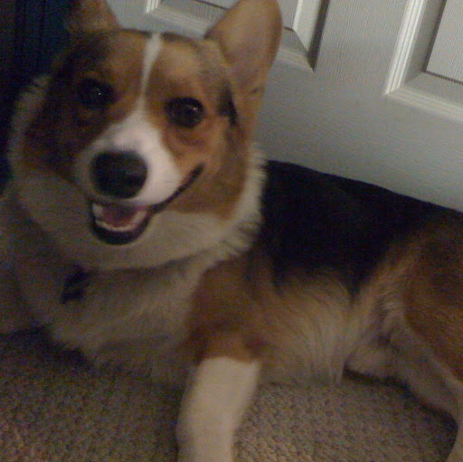 Michelle Phan Photo 35