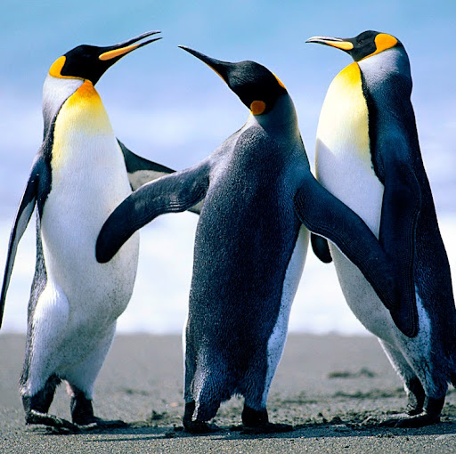 Isaac Mathews Photo 26