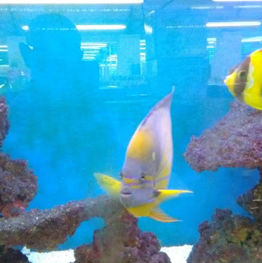 Richard Tate Photo 14