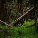 Robin Groves Photo 37
