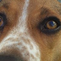 Wanda Roberson Photo 19