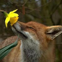 Lindsay Hardy Photo 19