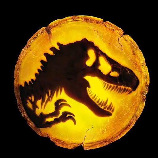 Steven Lange Photo 17